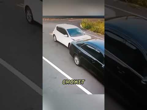 Нашёл противника не по силам 😳