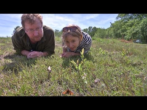 BuitenGewoon vanavond
