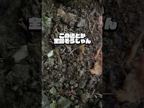 [Ruri no Jewel] I couldn't find any garnets with gold in them [Apprentice Gemstone Polisher Vtuber]