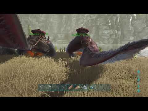 When breeding Maewings, both parents will lay eggs