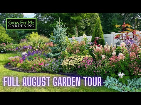 Full August 2024 Garden Tour ⭐️ Stunning Color in the Late Summer Landscape