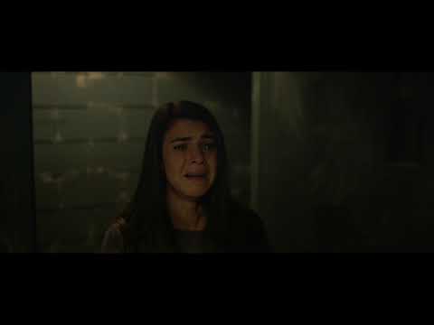 afbeelding True Fiction