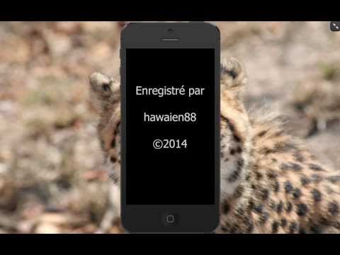 comment localiser ma copine