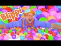 Blippi Fun And Learning With Color Balls 1 Hour Of Blippi Learning Videos