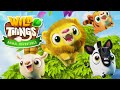 Wild Things Animal Adventure