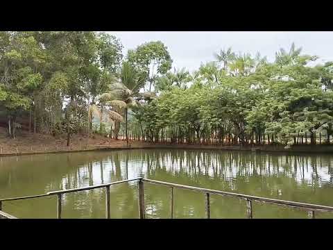 Bela paisagem Fazenda Laurena / Ipiaú - Bahia 