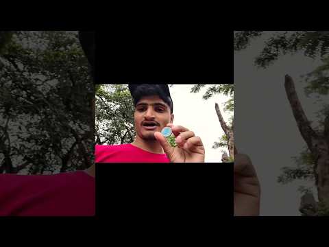 Ellora Caves Entry Coin 🤯 #shorts