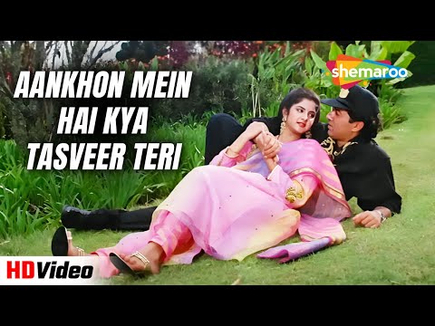Aankhon Mein Hai Kya Tasveer Teri | Vishwatma (1992) | Sunny Deol, Divya Bharti | Udit Narayan