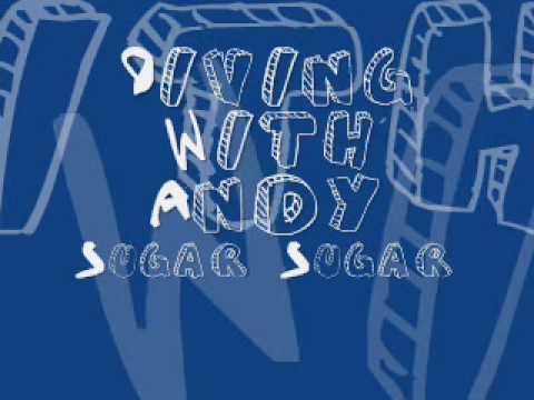 Diving With Andy Sugar Sugar