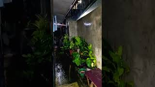 Download lagu hujan malam mp3