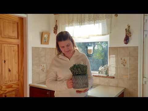 Slow Living Morning in Ireland | New Dishes, Apple Tart & Silent Vlog