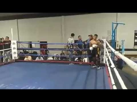 Pelea boxeo impacto deportivo sv