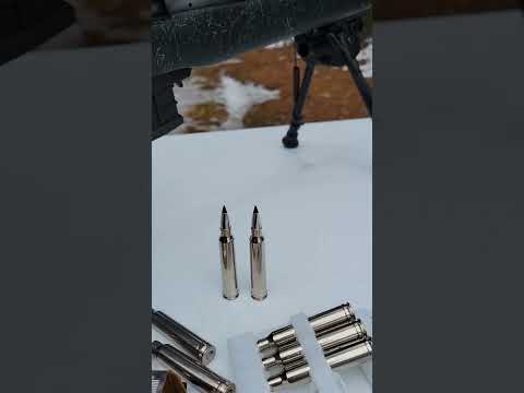 Cartridge Built for Hunters