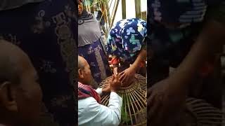 Download lagu Anak kejepit kandang Ayam mp3