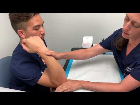 Overview of a Hand & Wrist Examination | Dr. Jessica Intravia