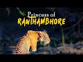 Ranthambore Zone 6 10 Safari With Eagle Safaris 4K Video Hindi हिन्दी