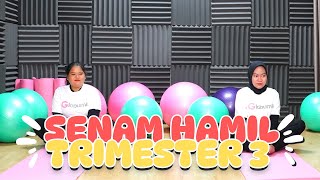 Download lagu Senam Ibu Hamil Trimester 3 Mudah || Bidan Novia, Amd, Keb - Medikacare mp3