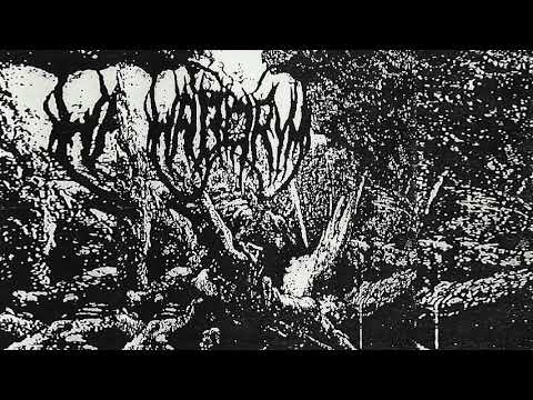 HABORYM (USA) - DEMO 1995 - FULL DEMO 1995 (REISSUE 2013)