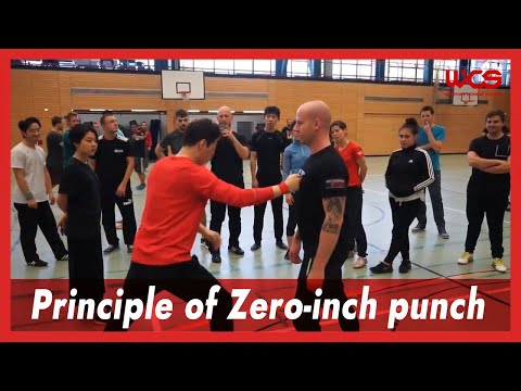 Principle of Zero-inch punch - DK Yoo