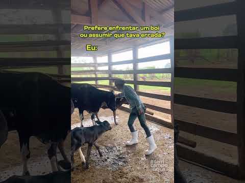 Tem Campo Aqui | Admitir que tô errado?