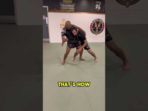 Learn to punch and hit takedowns like Fedor