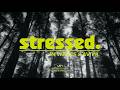 AViVA X In Waves Stressed Official Video