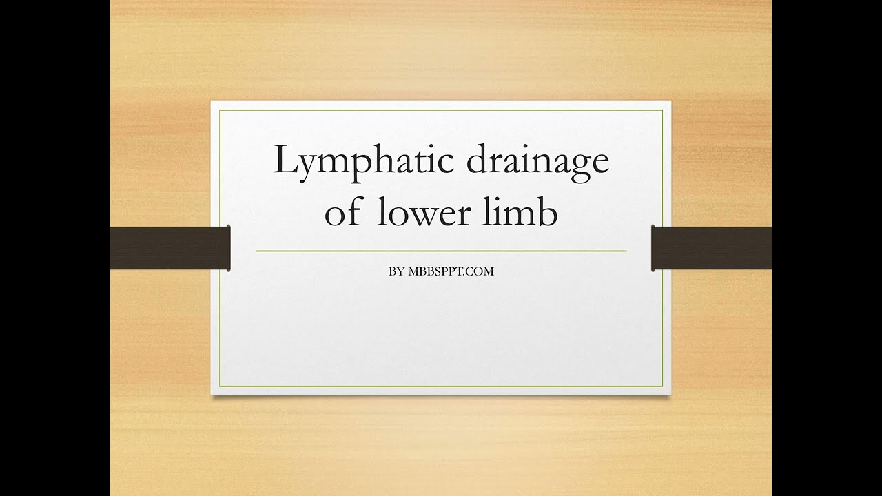 Lymphatic Drainage of Lower Limb PPT (Slide Presentation)
