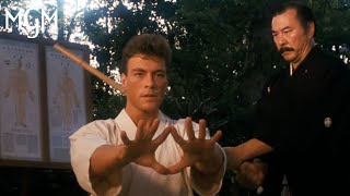 Martial Arts Training Scene