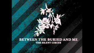 Between the Buried and Me - Lost Perfection