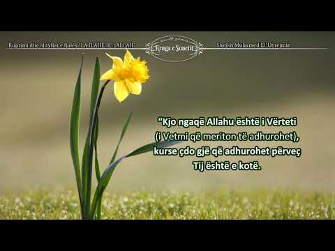 Kuptimi dhe shtyllat e fjalës "LA ILAHE IL-LALLAH" – Shejkh Muhamed El-Uthejmin
