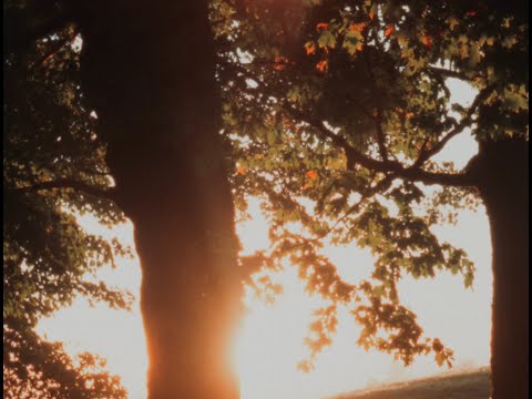 Autumn Sunrise (16mm, Ektachrome 100D)