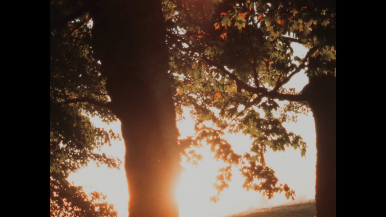 Autumn Sunrise (16mm, Ektachrome 100D)