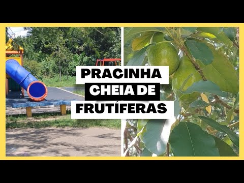PRACINHA JARDIM DAS ROSAS ZONA LESTE DE SÃO PAULO+MUITAS FRUTÍFERAS!!!!