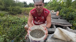 Download lagu Pasang Pukat Kecil Di Anak Sungai Sampun//Sekali Angkat Penuh Tong Cat 5Kg//Seronok Memat mp3