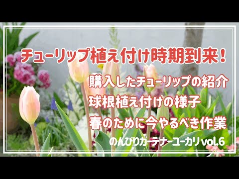 チューリップの球根を植える場所