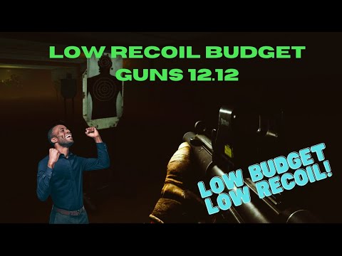 Escape from Tarkov - Low Budget Low Recoil Guide!