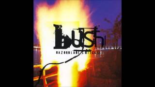 Bush- A Tendency to Start Fires (Lyrics on screen)