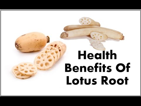 Health benefits of lotus root - kamal kakdi benefits