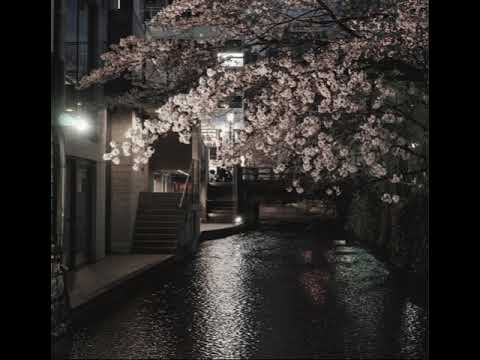 shesad — prophecYY