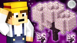 How The Cherry Blossom Biome was Added To Minecraft