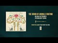 The Sound of Animals Fighting "Un'aria Elettronica (Technology Remix)"