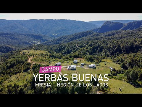 Campo en Los Muermos, Yerbas Buenas – Región de Los Lagos