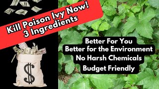Kill Poison Ivy: 3 Ingredients, No Harsh Chemicals, Super Easy and Really Works!! 🌿