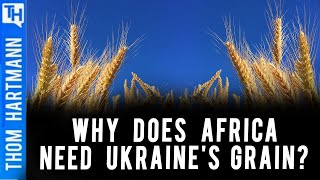 Was Food Shortage Designed? Why Does Africa Need Ukraine's Grain?