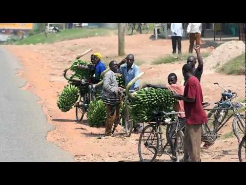 DOCTOR KING´ESI  Nipelaki Kwa Baba