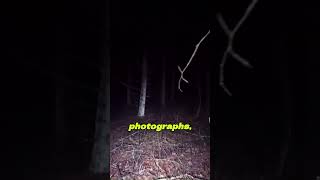 ALIEN Photos From History That Will Make You BELIEVE | SHOCKING EVIDENCE!