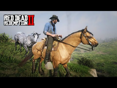 Taming MUSTANG HORSES - John Marston's Farm - Red Dead Redemption 2