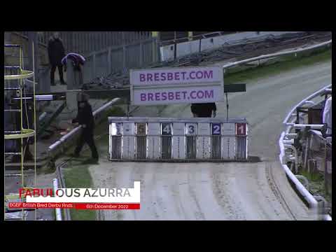 BGBF British Bred Derby Heat 2 - Fabulous Azurra