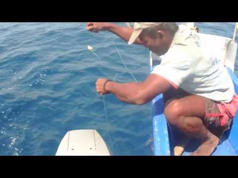 Pêche de requin à Madagascar à mains nues