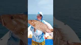 Hôtel Kasa Afrikana